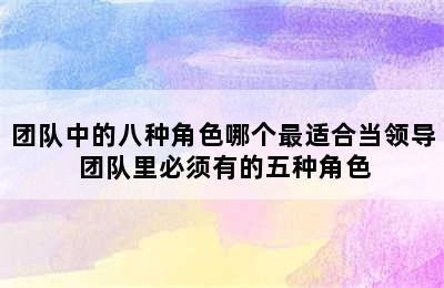 团队中的八种角色哪个最适合当领导 团队里必须有的五种角色